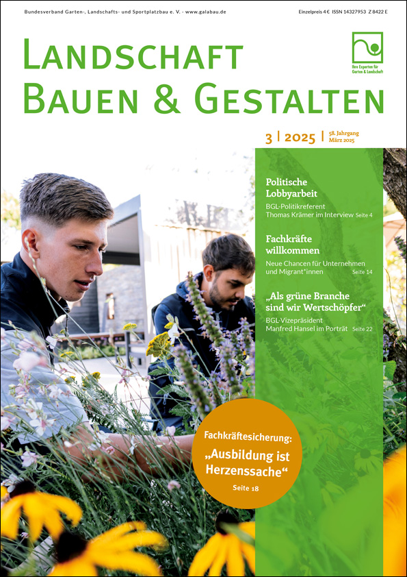 Ausgabe - 03/2025